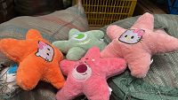 20cm New Star Mix #25